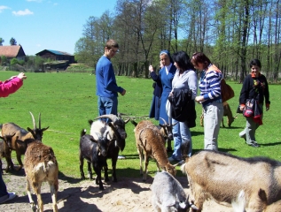 Specjalny Ośrodek Wychowawczy - Park Dzikich Zwierząt w Kadzidłowie