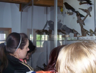 Specjalny Ośrodek Wychowawczy - Muzeum Przyrodnicze w Krutyni